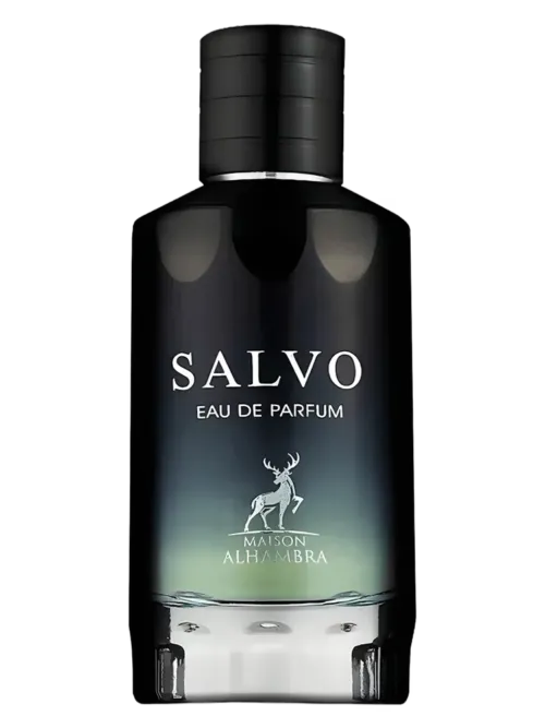 Salvo EDP