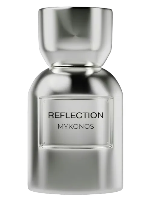 Reflection